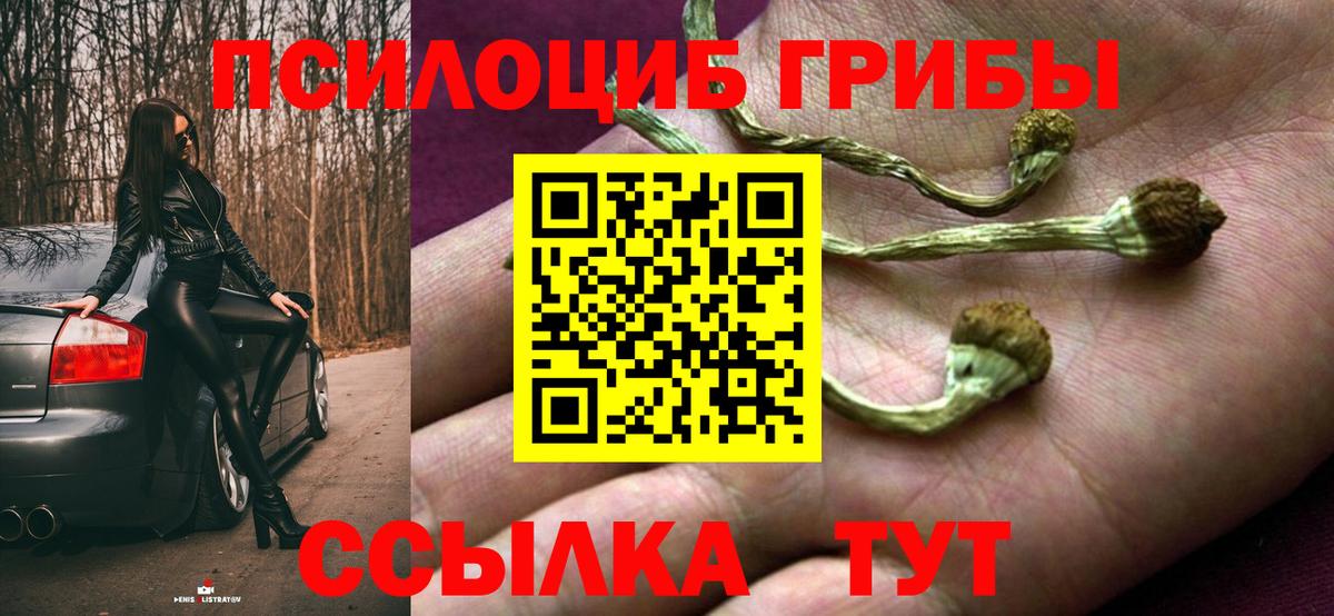 Галлюциногенные грибы мицелий  Вход с VPN  Ярцево 